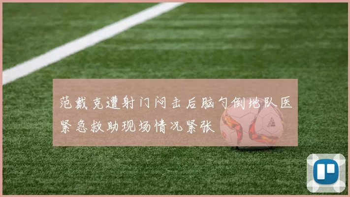 范戴克遭射门闷击后脑勺倒地队医紧急救助现场情况紧张