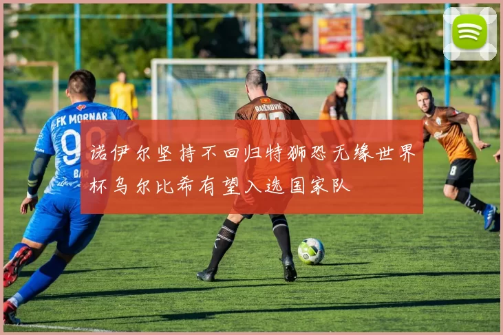 诺伊尔坚持不回归特狮恐无缘世界杯乌尔比希有望入选国家队